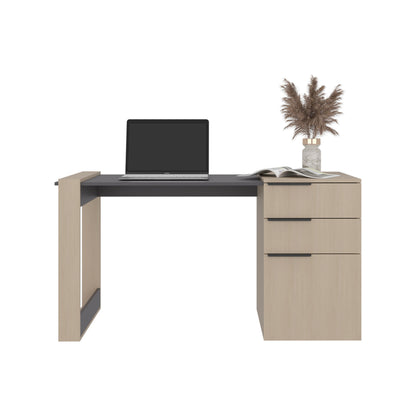 Escritorio Recto Dos Cajones - Una Puerta Office W-142 , Cartagena Y Plomo (vista 3)