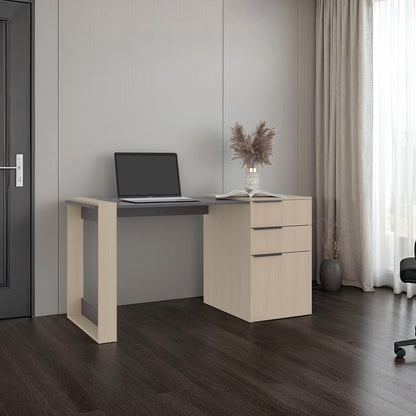 Escritorio Recto Dos Cajones - Una Puerta Office W-142 , Cartagena Y Plomo